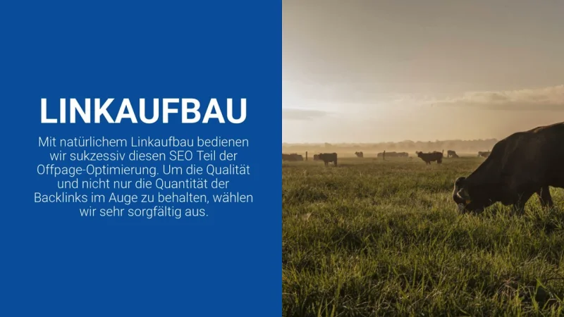 Vorschaubild: BFSG Compliance Check erklärt - Wender Media